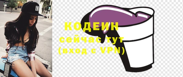 стафф Новозыбков