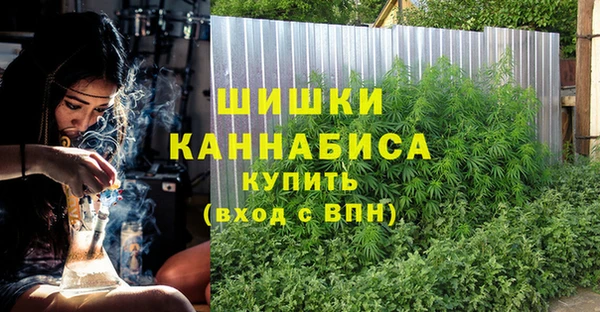 стафф Новозыбков