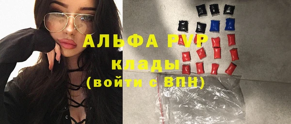 стафф Новозыбков