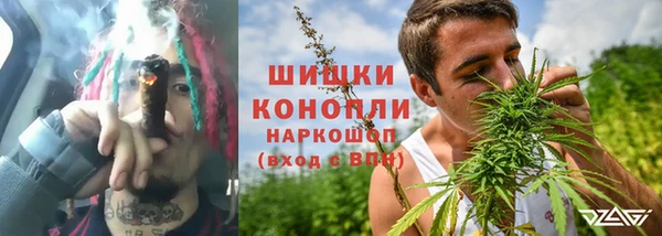 стафф Новозыбков