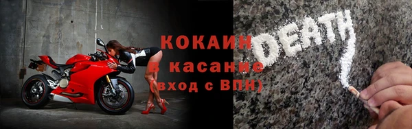 стафф Новозыбков
