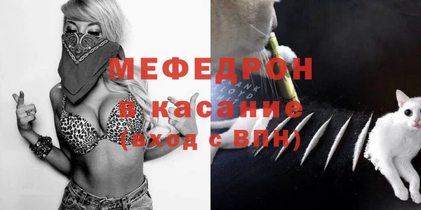 стафф Новозыбков