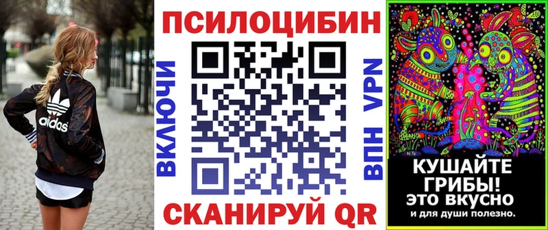 Галлюциногенные грибы мухоморы  Купить где  Звенигово 