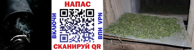 Бошки Шишки сатива  Купить  Звенигово 